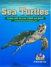 Sea Turtles