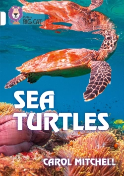 Bertrand.pt - Sea Turtles