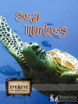 Bertrand.pt - Sea Turtles