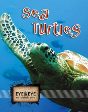 Sea Turtles (E2e)