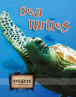 Bertrand.pt - Sea Turtles (E2e)