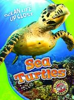 Sea Turtles