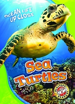Bertrand.pt - Sea Turtles