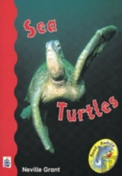 Sea Turtles
