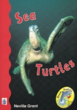 Bertrand.pt - Sea Turtles