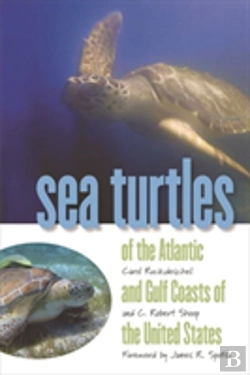 Bertrand.pt - Sea Turtles Of The Atlantic And Gulf Coasts Of The United States
