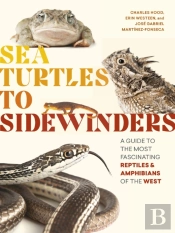 Sea Turtles To Sidewinders