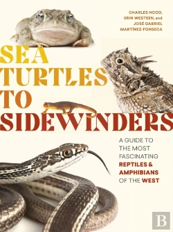 Bertrand.pt - Sea Turtles To Sidewinders
