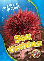 Sea Urchins