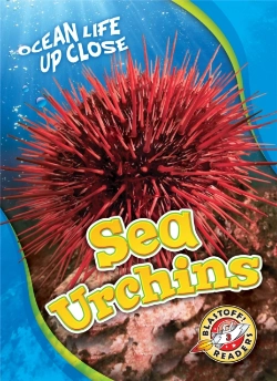 Bertrand.pt - Sea Urchins