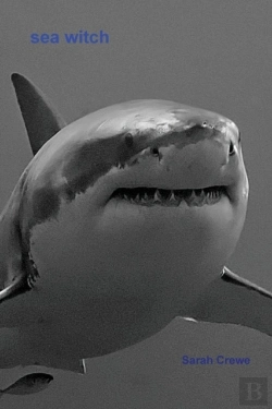 Bertrand.pt - Sea Witch