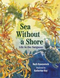 Sea Without A Shore