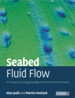 Bertrand.pt - Seabed Fluid Flow