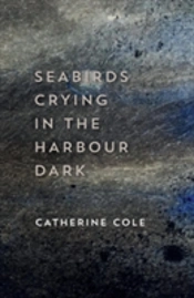 Seabirds Crying In The Harbour Dark