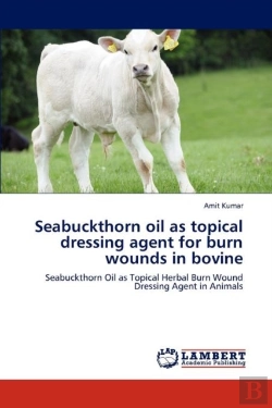 Bertrand.pt - Seabuckthorn Oil As Topical Dressing Agent For Burn Wounds In Bovine