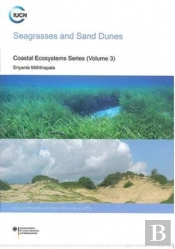 Seagrasses And Sand Dunes