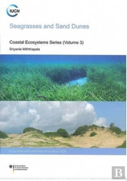Bertrand.pt - Seagrasses And Sand Dunes