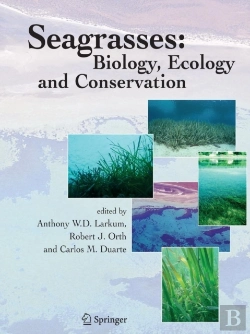 Bertrand.pt - Seagrasses: Biology, Ecology And Conservation