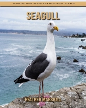 Seagull