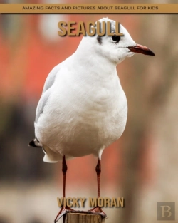 Bertrand.pt - Seagull