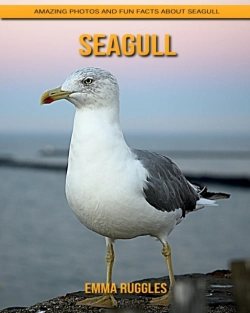 Bertrand.pt - Seagull
