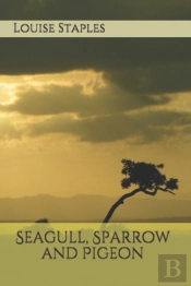 Seagull, Sparrow And Pigeon