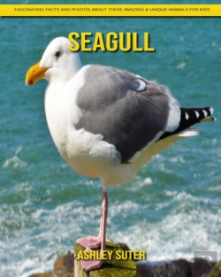 Bertrand.pt - Seagull