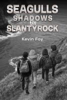 Seagulls Shadows On Slantyrock