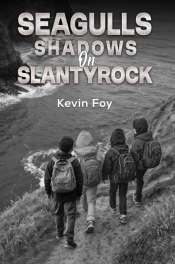 Seagulls Shadows On Slantyrock