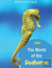 Seahorse Activity Workbook For Kids Ages 4-8
