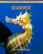 Seahorse
