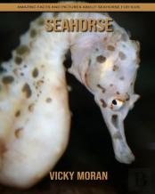 Seahorse