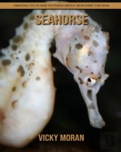 Seahorse