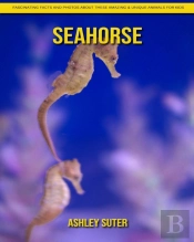 Seahorse