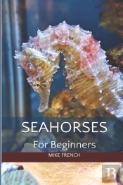 Seahorses For Beginners