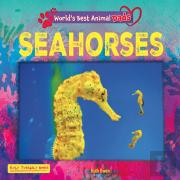 Seahorses