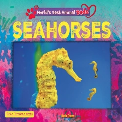 Bertrand.pt - Seahorses