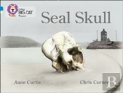 Seal Skull