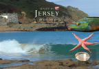 Sealife In Jersey