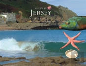 Sealife In Jersey