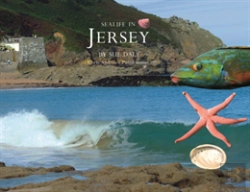 Bertrand.pt - Sealife In Jersey