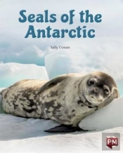 Seals Of The Antartic