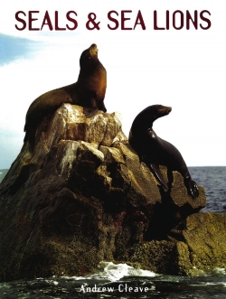 Bertrand.pt - Seals Sea Lions