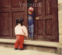 Bertrand.pt - Sean Palfrey: Promise