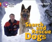 Search And Rescue Dogs