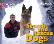 Search And Rescue Dogs