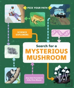 Bertrand.pt - Search For A Mysterious Mushroom