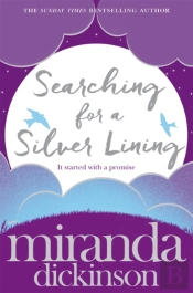 Searching For A Silver Lining