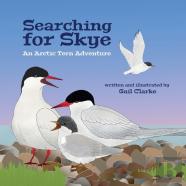 Searching For Skye