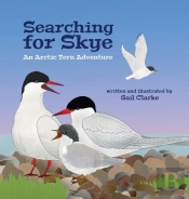 Searching For Skye